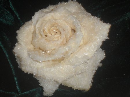 Засахаренная роза - для украшения тортов... а можно и так есть