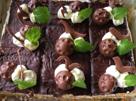 Шоколадное печенье с миндалем без выпечки